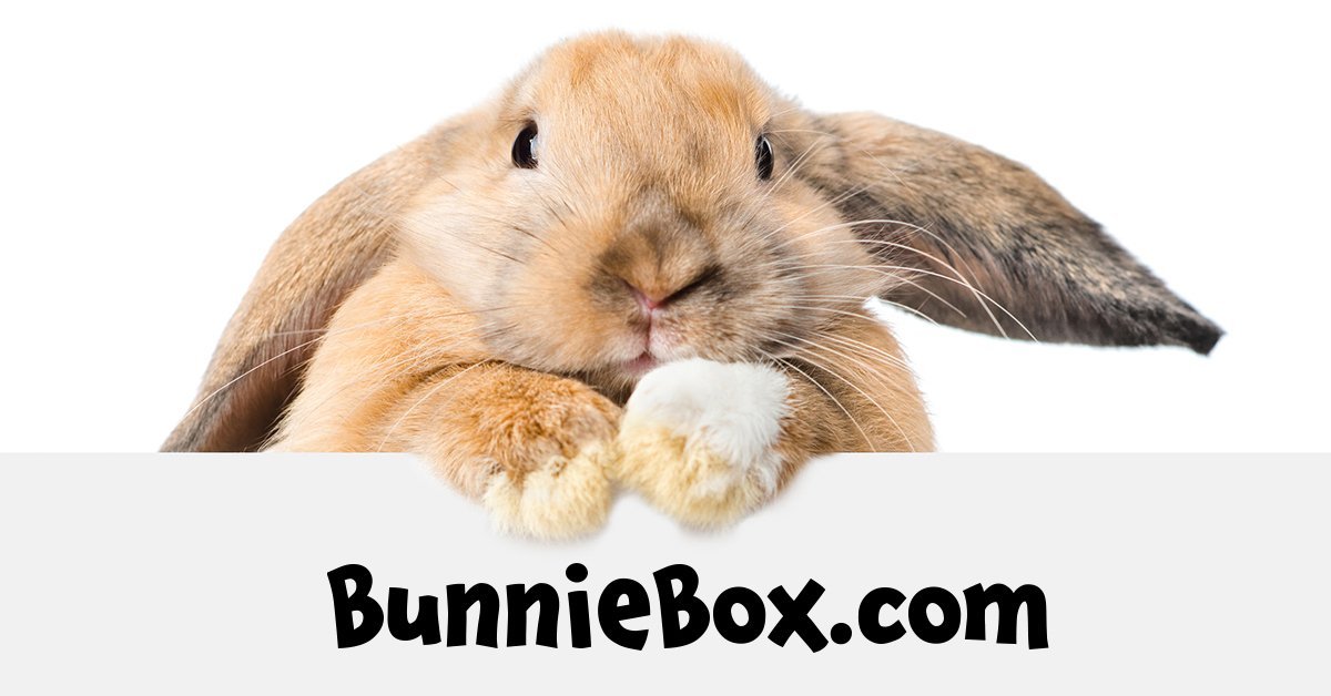 Hide Box Hanger - Enriched Life – BunnieBox