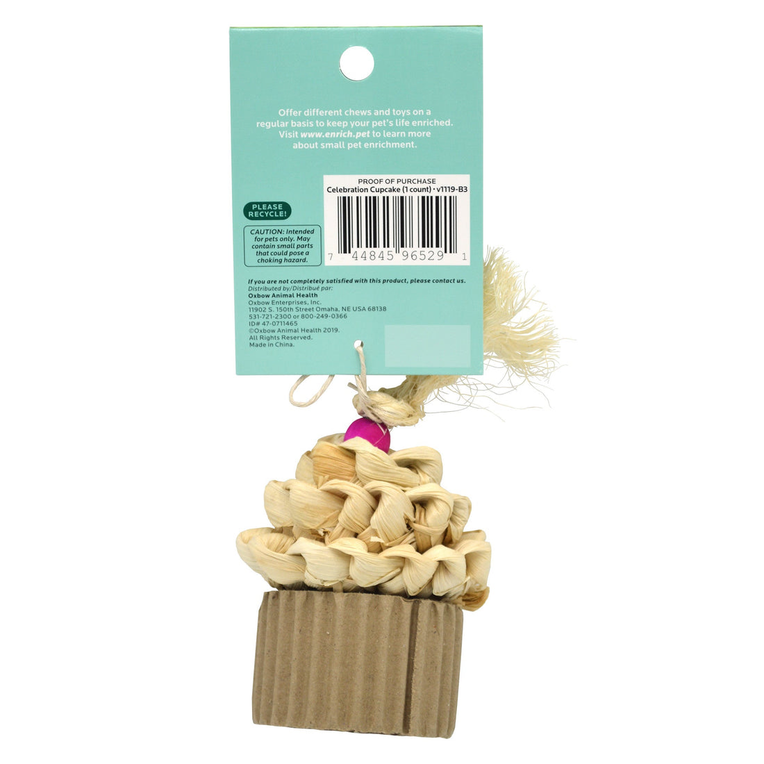 Celebration Cupcake - Enriched Life