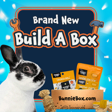 Bunniebox---Build-AD2.gif__PID:b97c914c-966b-464a-9256-a0e219b6edab