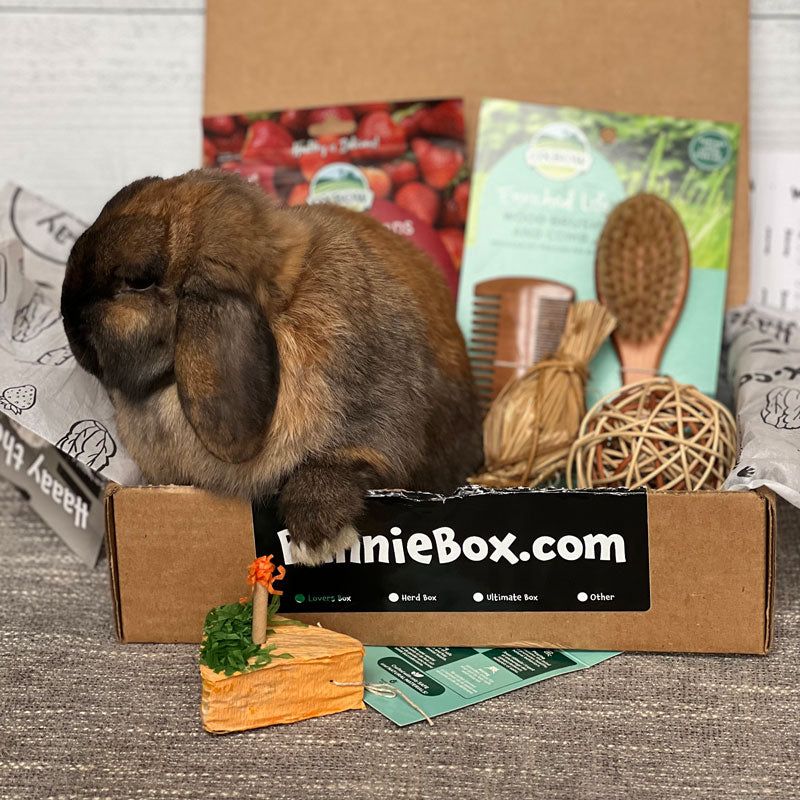 The Herd Box: 2+ Rabbits