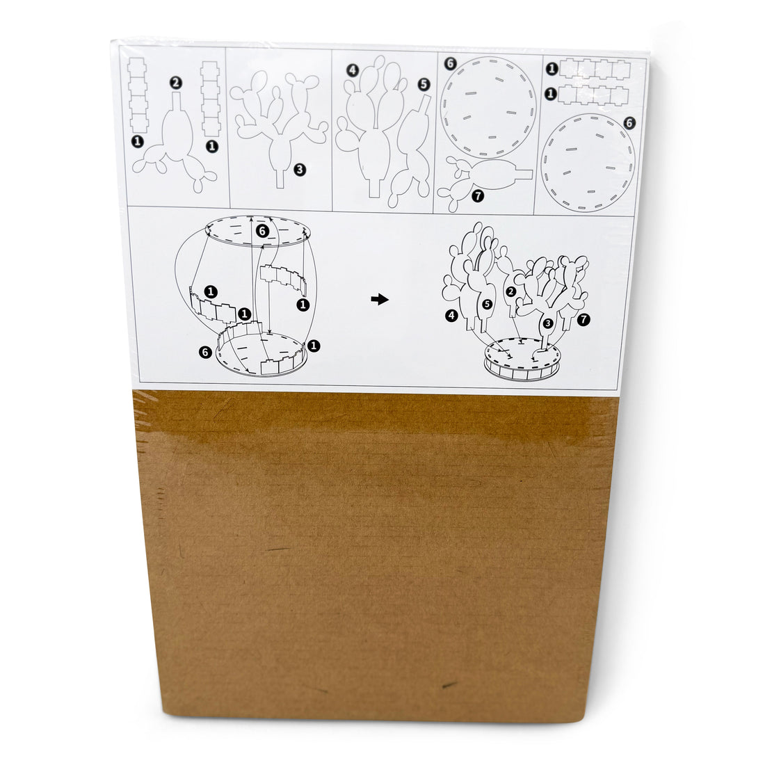 Cardboard Cactus - Squeaks & Fur