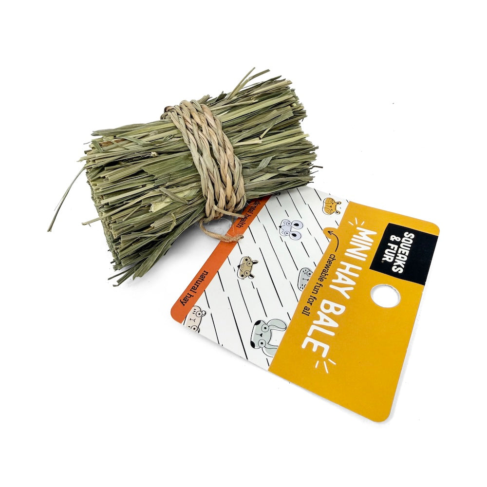 Mini Hay Bale - Squeaks & Fur
