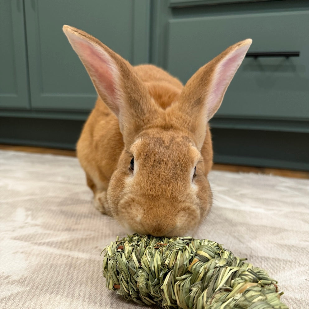 Giant Pepper - Squeaks & Fur