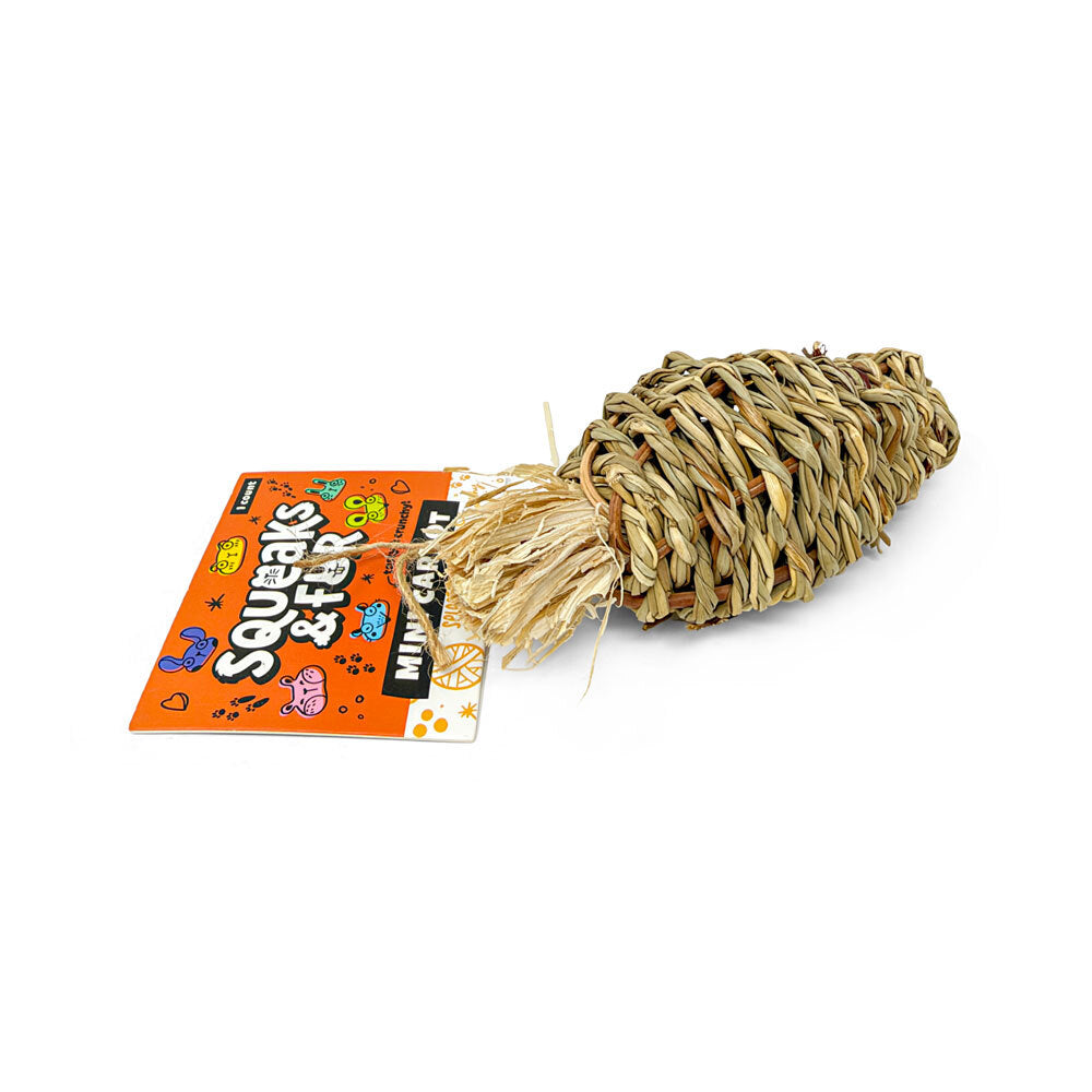 Mini Carrot - Squeaks & Fur