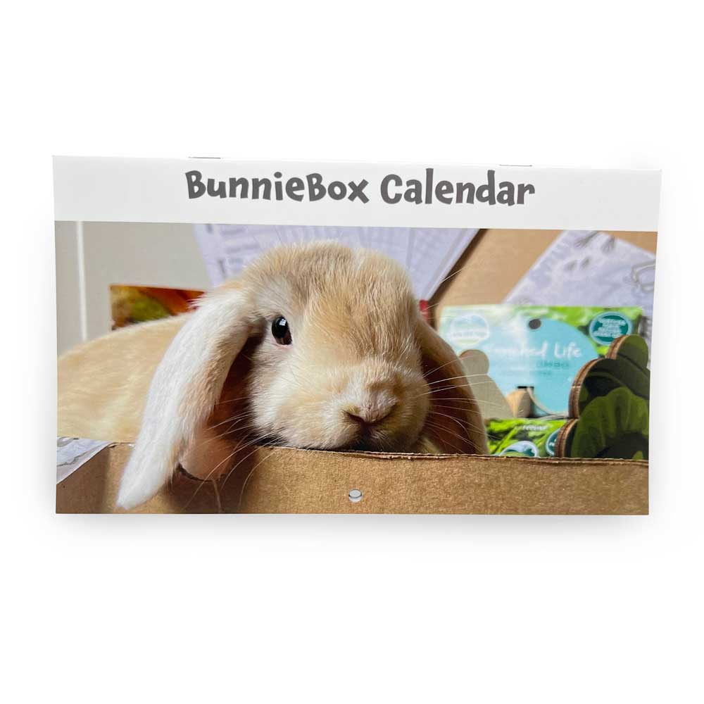 Exclusive BunnieBox Calendar - 12 Months (Blank)
