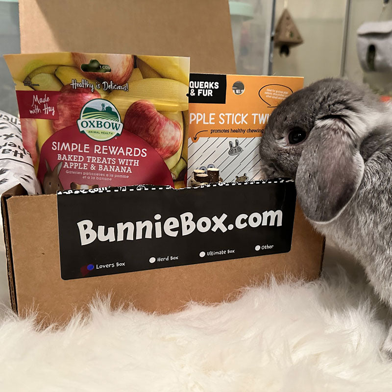 The Lovers Box: 1 Rabbit