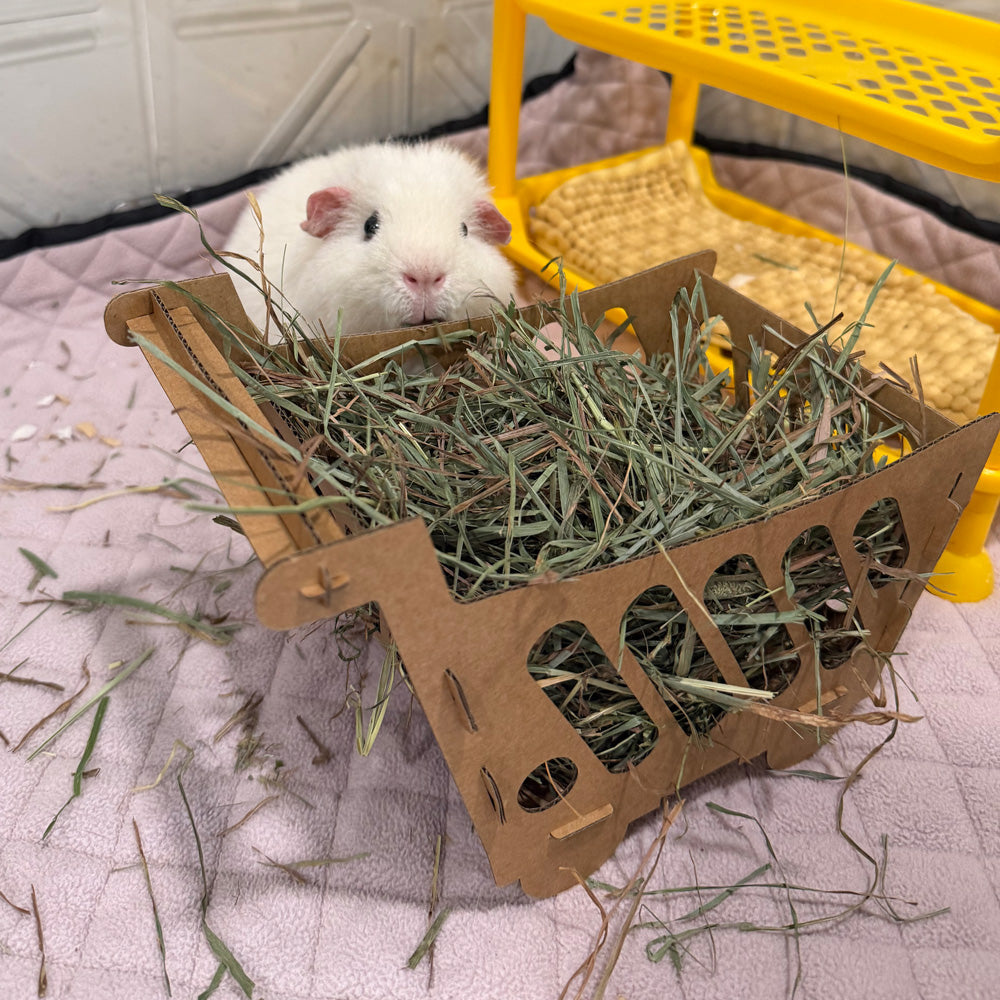 Shopping Cart Cardboard - Squeaks & Fur