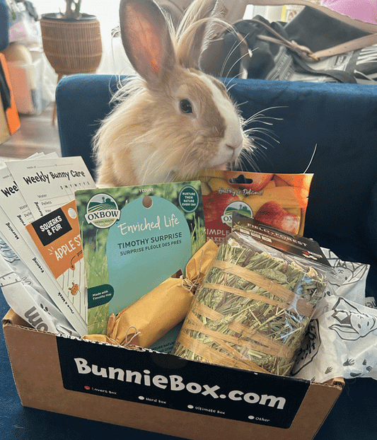 BunnieBox.com - Monthly Rabbit Subscription Box USA