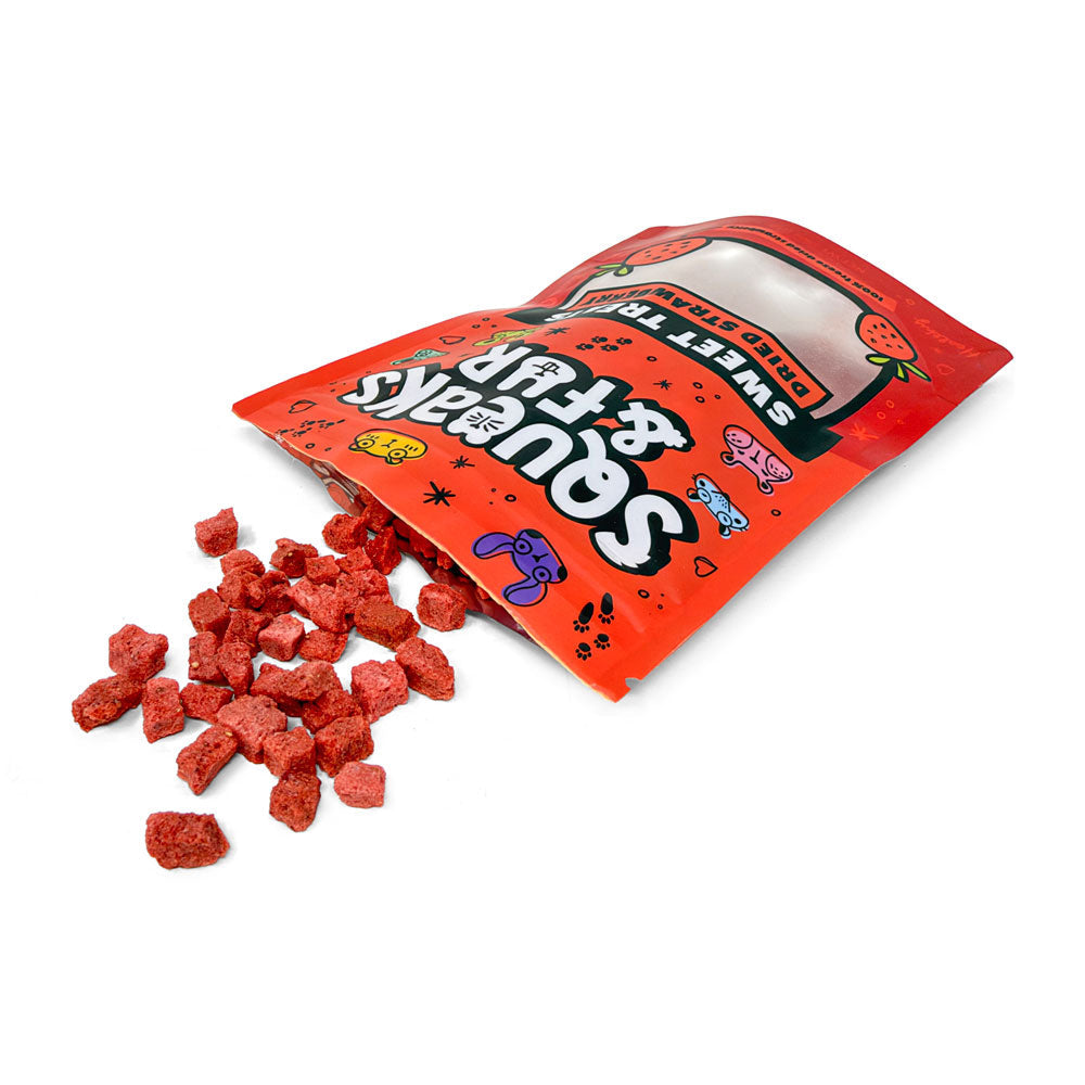 Dried Strawberry - Squeaks & Fur