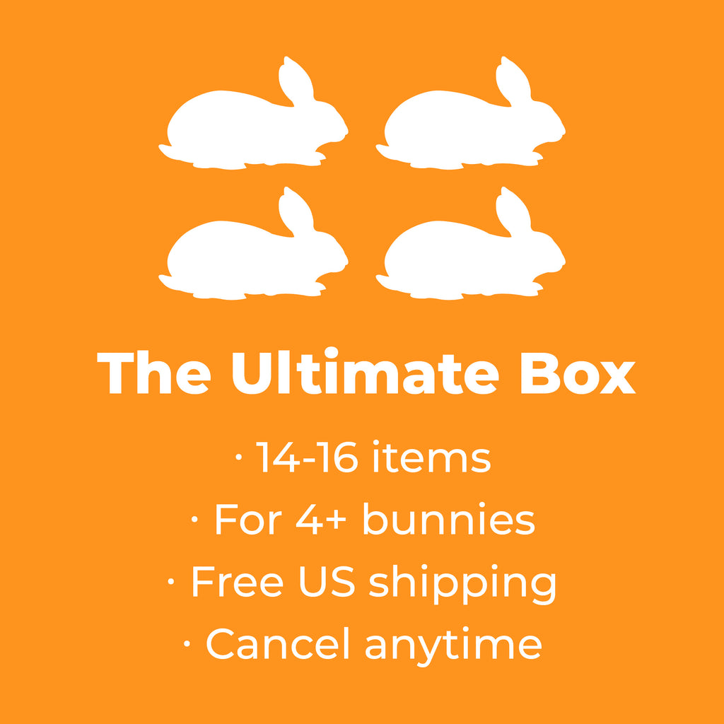 The Ultimate Box: 4+ Rabbits